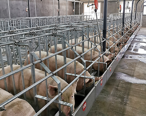 生產(chǎn)設(shè)備