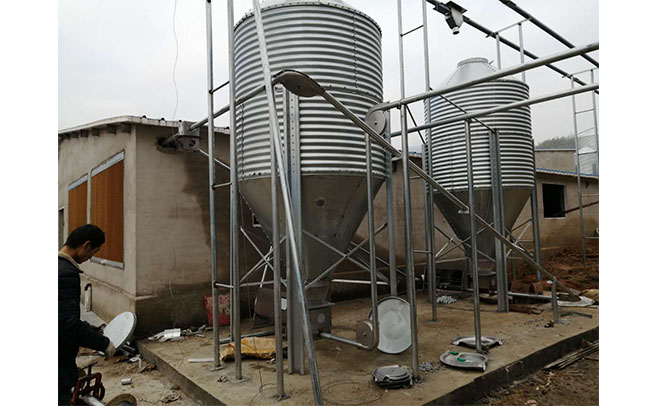 1607394335326676.jpg 干料4.jpg